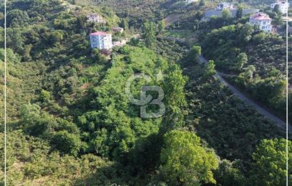 TRABZON BULAK'DA SATILIK 5.438 M2 ARAZİ