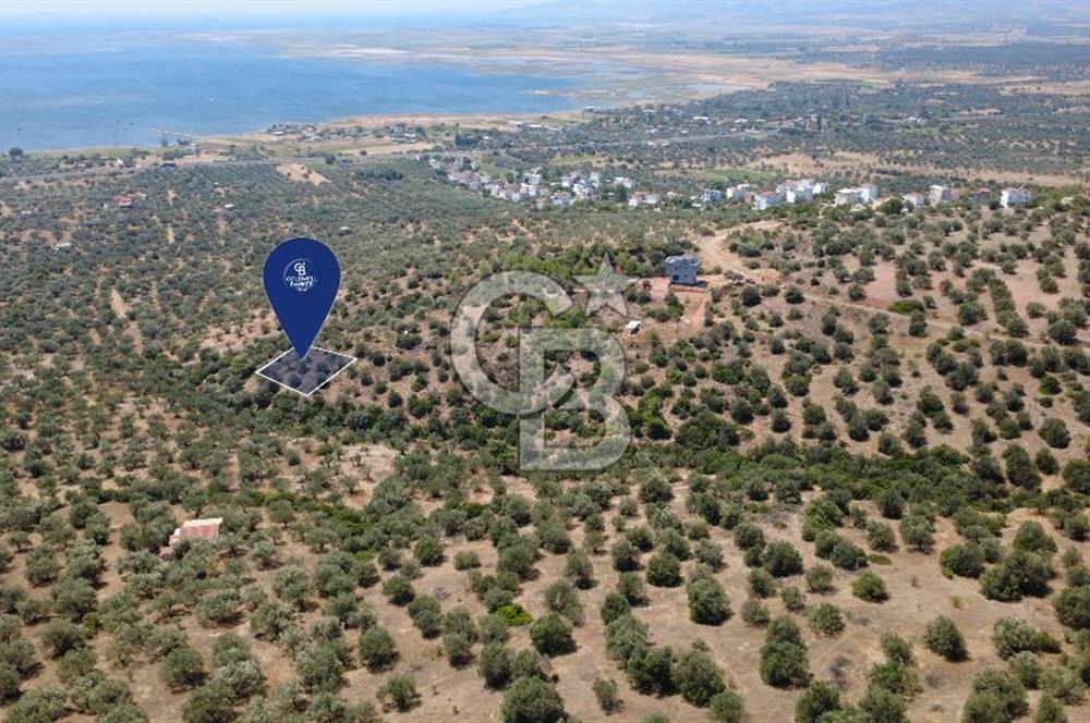 BERGAMA ZEYTİNDAĞDA DENİZ MANZARALI 15/30 İMARLI ARSA