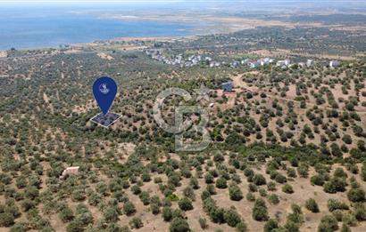 BERGAMA ZEYTİNDAĞDA DENİZ MANZARALI 15/30 İMARLI ARSA