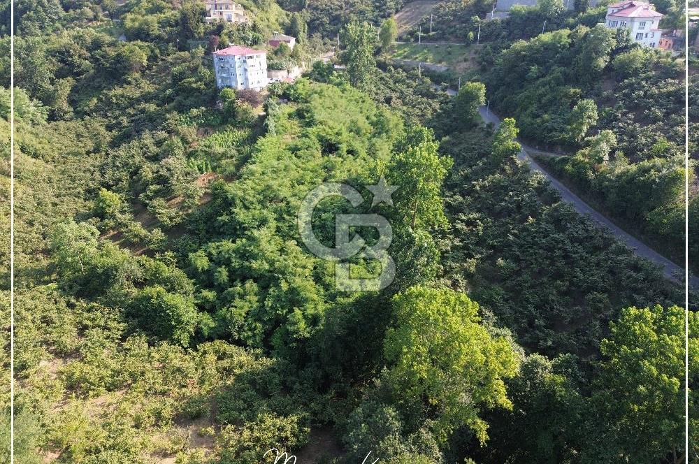 TRABZON BULAK'DA SATILIK 5.438 M2 ARAZİ