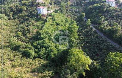 TRABZON BULAK'DA SATILIK 5.438 M2 ARAZİ