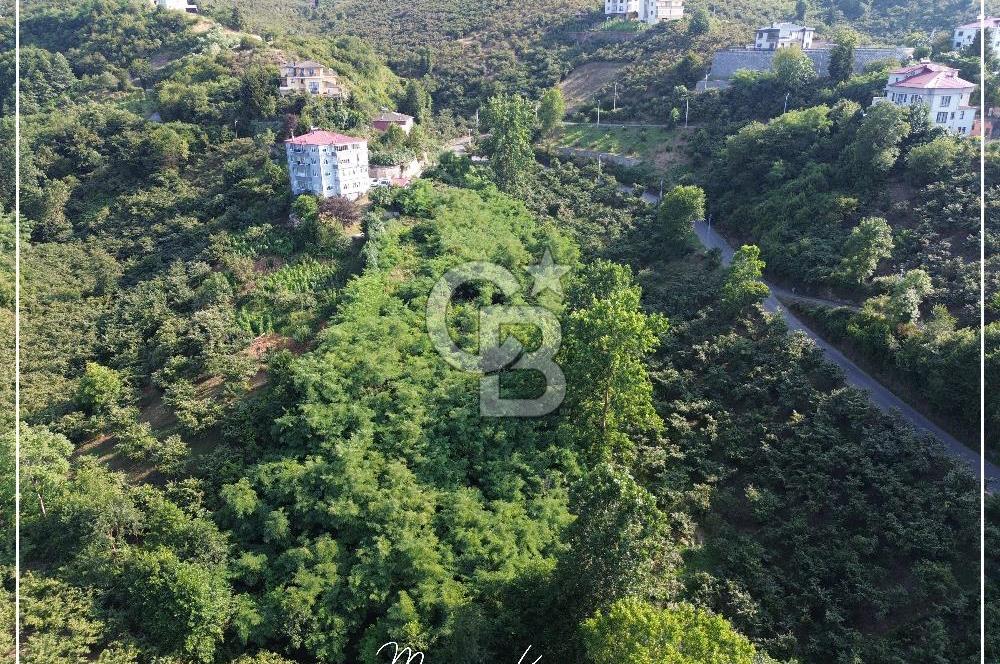TRABZON BULAK'DA SATILIK 5.438 M2 ARAZİ