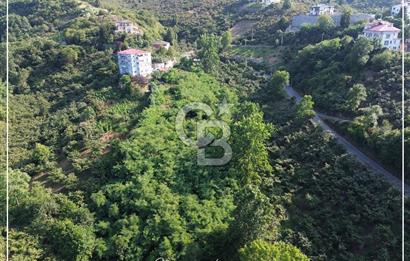 TRABZON BULAK'DA SATILIK 5.438 M2 ARAZİ