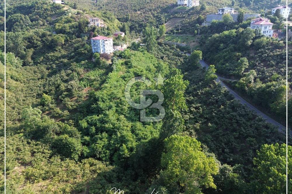 TRABZON BULAK'DA SATILIK 5.438 M2 ARAZİ