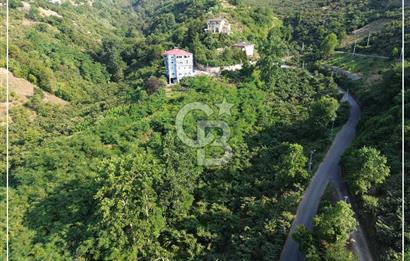 TRABZON BULAK'DA SATILIK 5.438 M2 ARAZİ