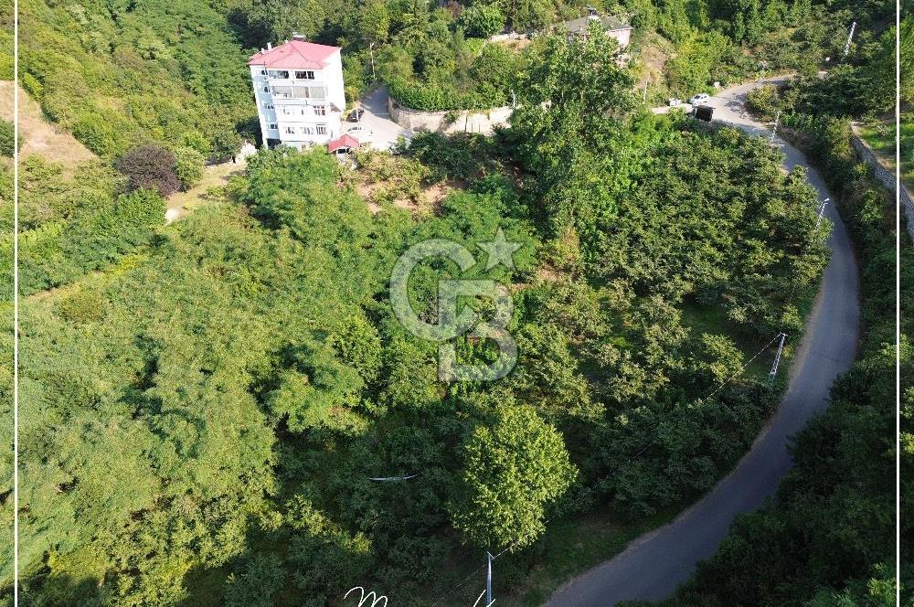 TRABZON BULAK'DA SATILIK 5.438 M2 ARAZİ