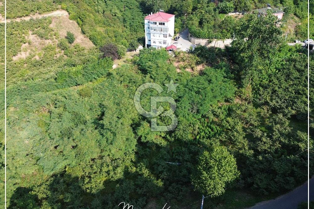TRABZON BULAK'DA SATILIK 5.438 M2 ARAZİ