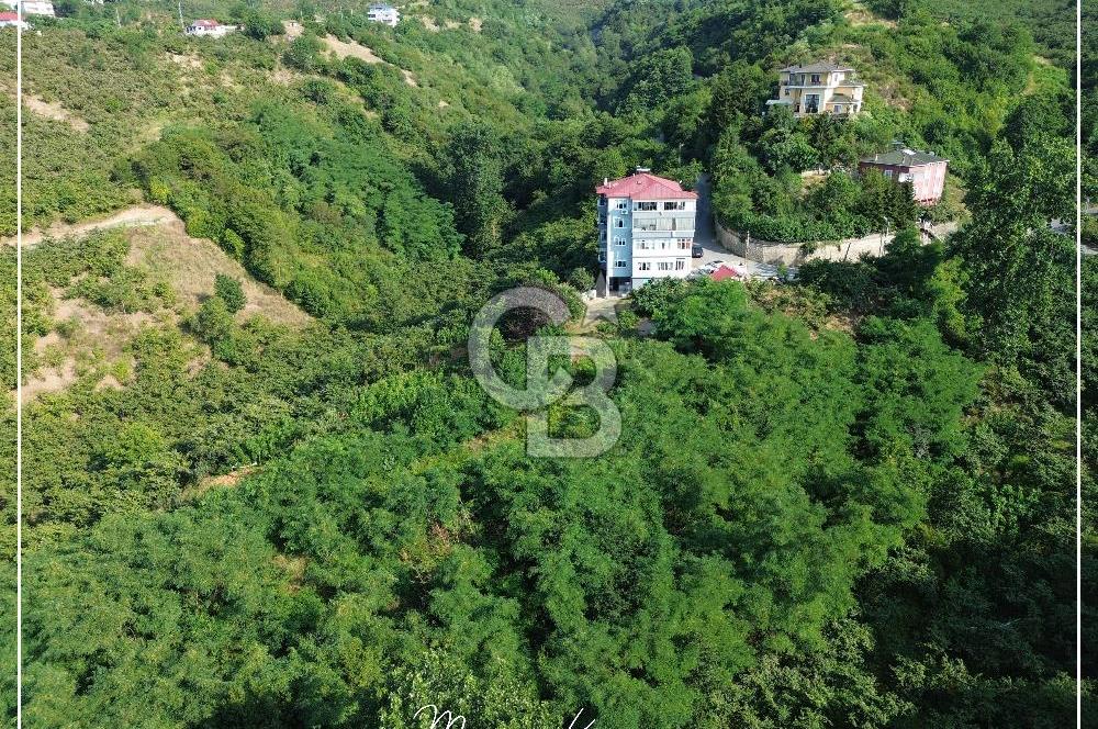 TRABZON BULAK'DA SATILIK 5.438 M2 ARAZİ