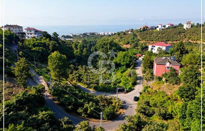 TRABZON BULAK'DA SATILIK 5.438 M2 ARAZİ