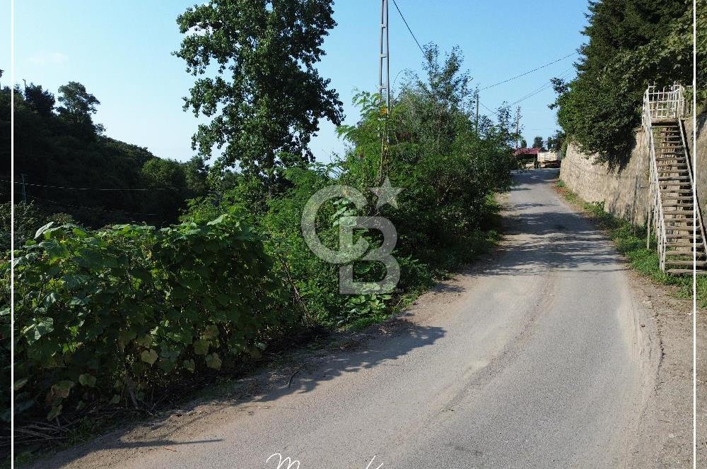 TRABZON BULAK'DA SATILIK 5.438 M2 ARAZİ