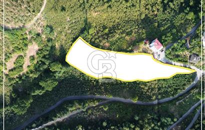 TRABZON BULAK'DA SATILIK 5.438 M2 ARAZİ