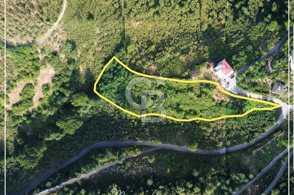 TRABZON BULAK'DA SATILIK 5.438 M2 ARAZİ
