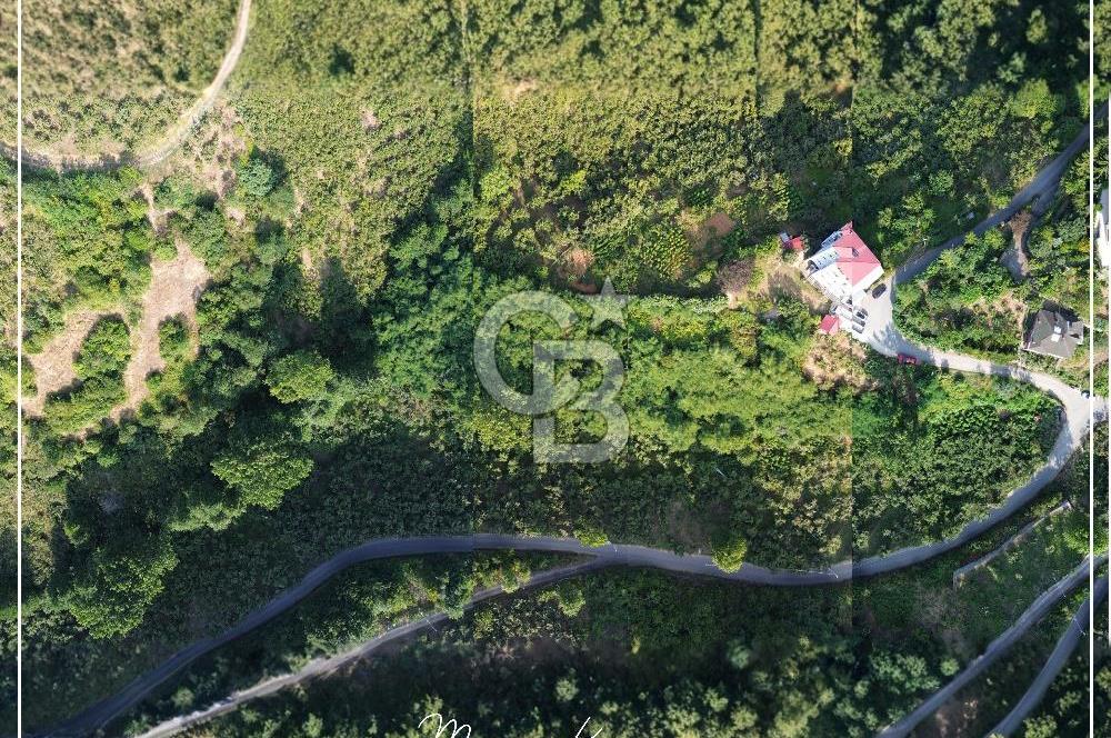 TRABZON BULAK'DA SATILIK 5.438 M2 ARAZİ