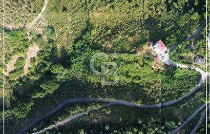 TRABZON BULAK'DA SATILIK 5.438 M2 ARAZİ