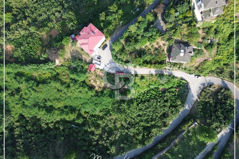 TRABZON BULAK'DA SATILIK 5.438 M2 ARAZİ
