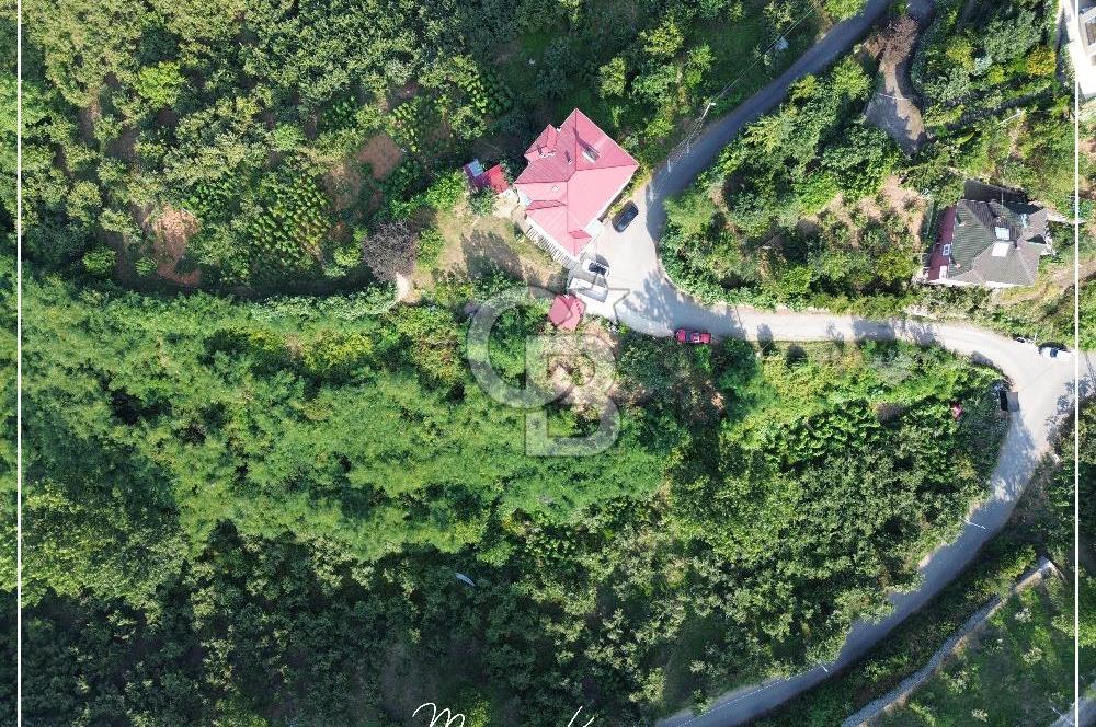 TRABZON BULAK'DA SATILIK 5.438 M2 ARAZİ