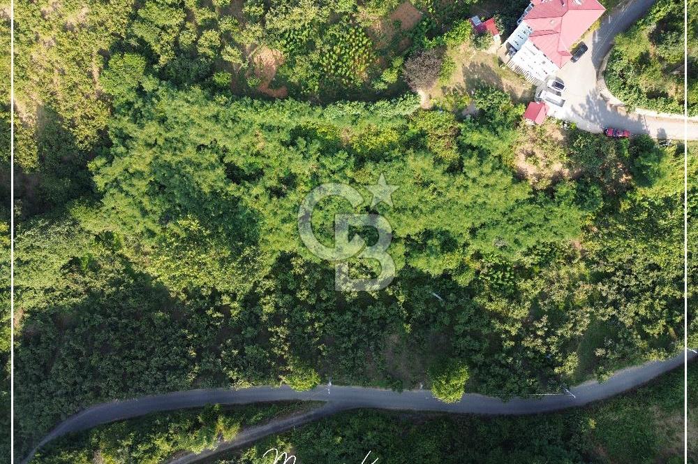 TRABZON BULAK'DA SATILIK 5.438 M2 ARAZİ