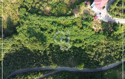 TRABZON BULAK'DA SATILIK 5.438 M2 ARAZİ