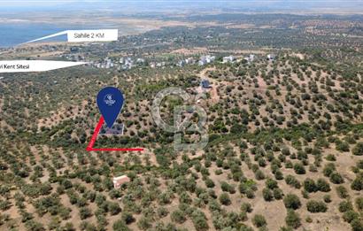 BERGAMA ZEYTİNDAĞDA DENİZ MANZARALI 15/30 İMARLI ARSA
