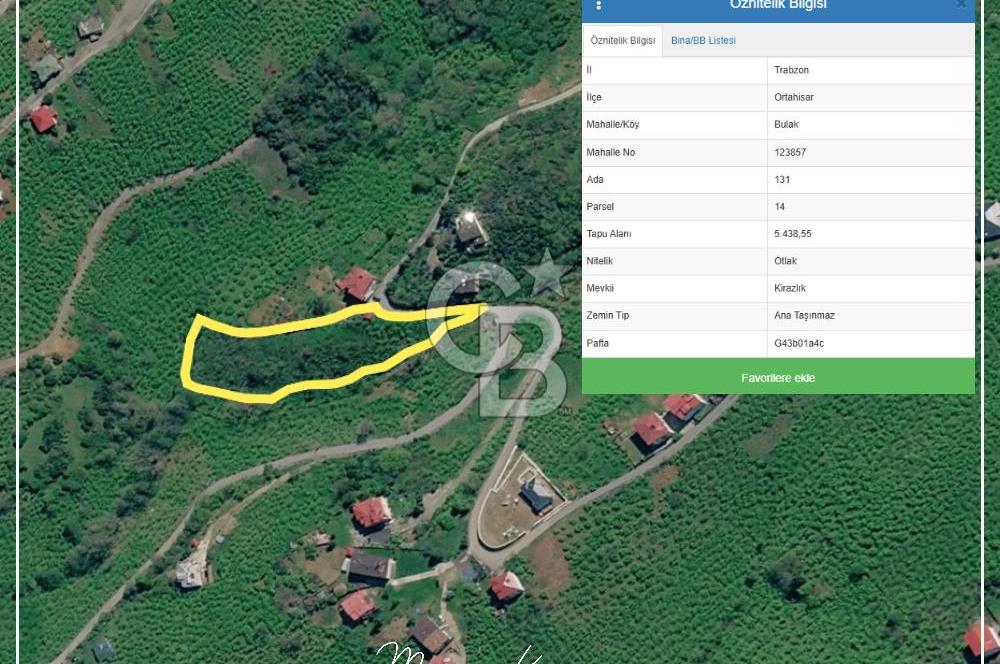 TRABZON BULAK'DA SATILIK 5.438 M2 ARAZİ