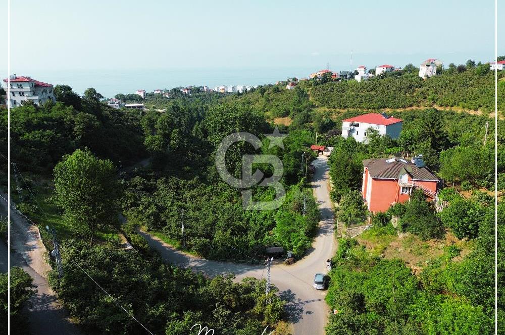 TRABZON BULAK'DA SATILIK 5.438 M2 ARAZİ