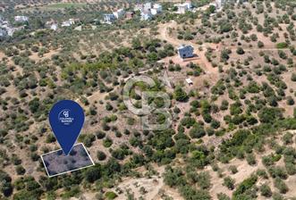 BERGAMA ZEYTİNDAĞDA DENİZ MANZARALI 15/30 İMARLI ARSA - 7 - 370182