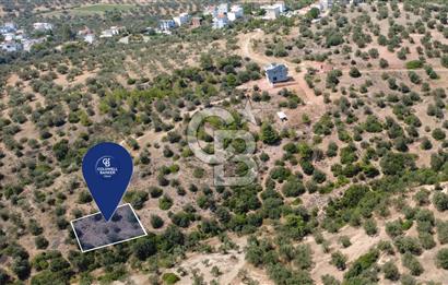 BERGAMA ZEYTİNDAĞDA DENİZ MANZARALI 15/30 İMARLI ARSA