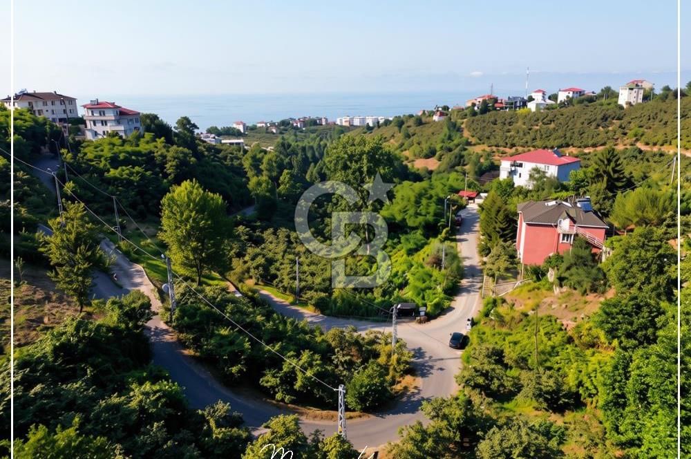 TRABZON BULAK'DA SATILIK 5.438 M2 ARAZİ