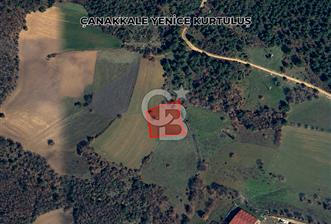 Çanakkale Yenice Kurtuluş 2.150 m² yatırımlık tarsa - 2 - 370197