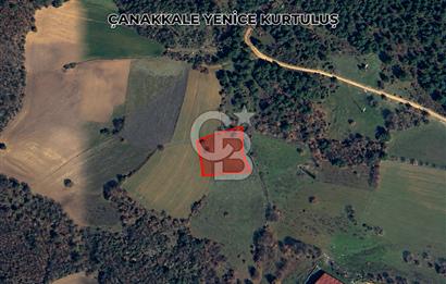 Çanakkale Yenice Kurtuluş 2.150 m² yatırımlık tarsa