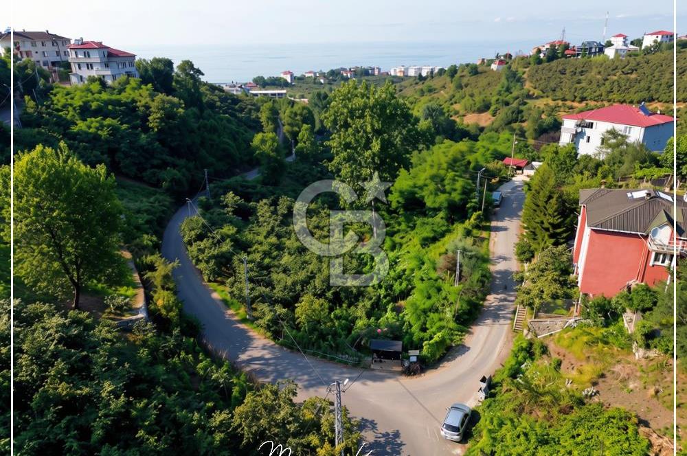TRABZON BULAK'DA SATILIK 5.438 M2 ARAZİ