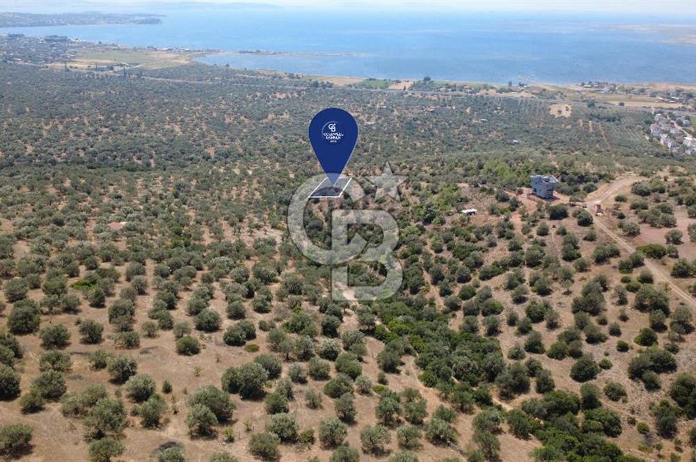 BERGAMA ZEYTİNDAĞDA DENİZ MANZARALI 15/30 İMARLI ARSA