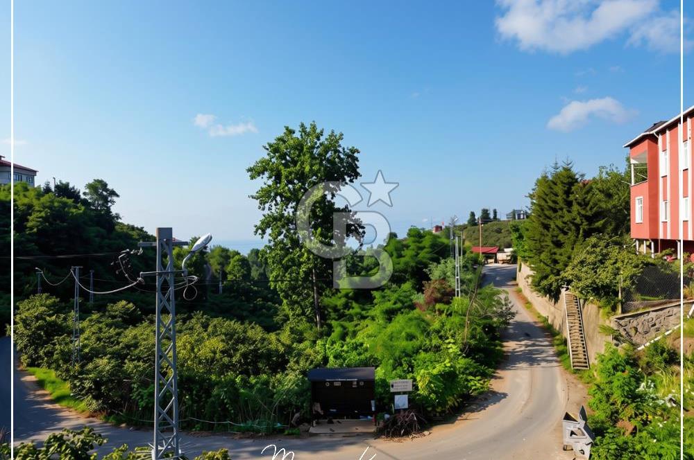 TRABZON BULAK'DA SATILIK 5.438 M2 ARAZİ