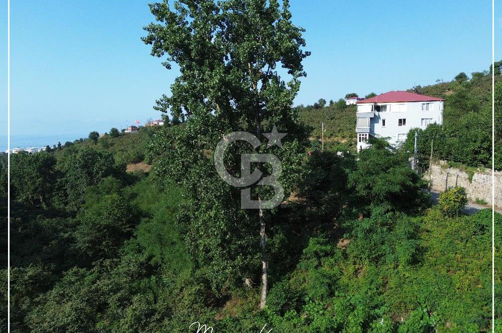 TRABZON BULAK'DA SATILIK 5.438 M2 ARAZİ