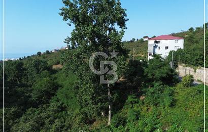 TRABZON BULAK'DA SATILIK 5.438 M2 ARAZİ