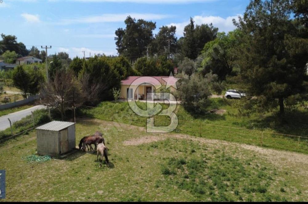 İzmir Buca Karacaağaç Köyünde Satılık Tarla