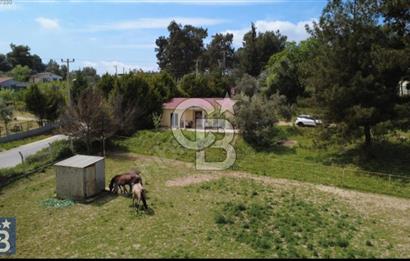 İzmir Buca Karacaağaç Köyünde Satılık Tarla