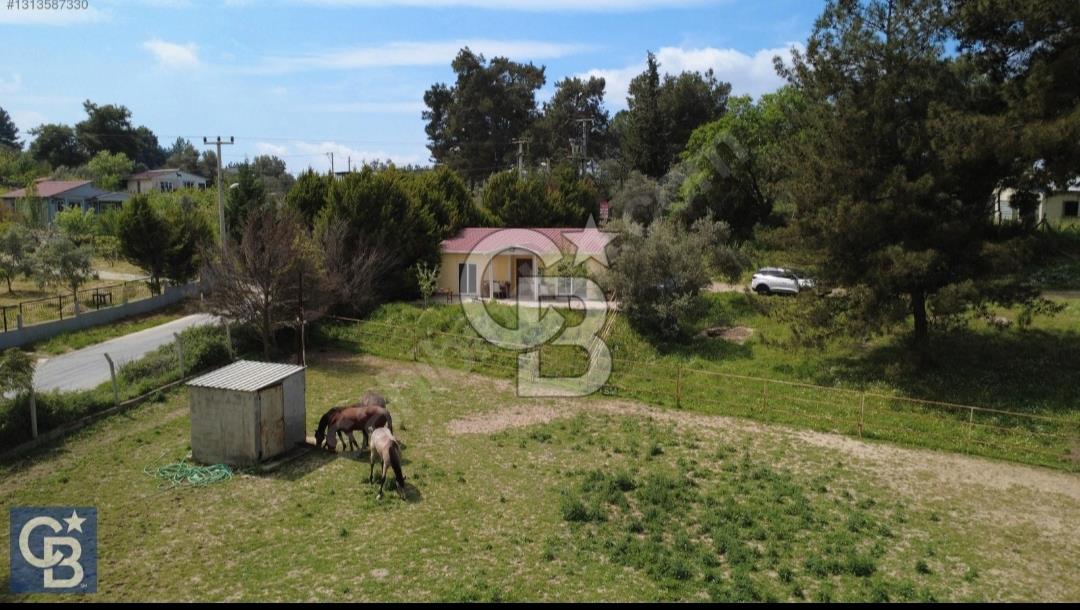 İzmir Buca Karacaağaç Köyünde Satılık Tarla