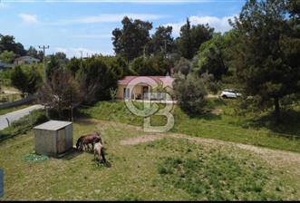İzmir Buca Karacaağaç Köyünde Satılık Tarla - 1 - 370199