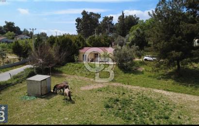 İzmir Buca Karacaağaç Köyünde Satılık Tarla