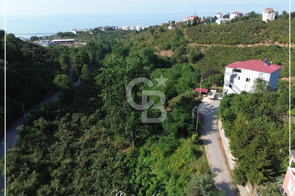 TRABZON BULAK'DA SATILIK 5.438 M2 ARAZİ