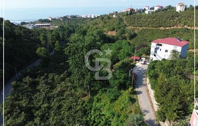 TRABZON BULAK'DA SATILIK 5.438 M2 ARAZİ