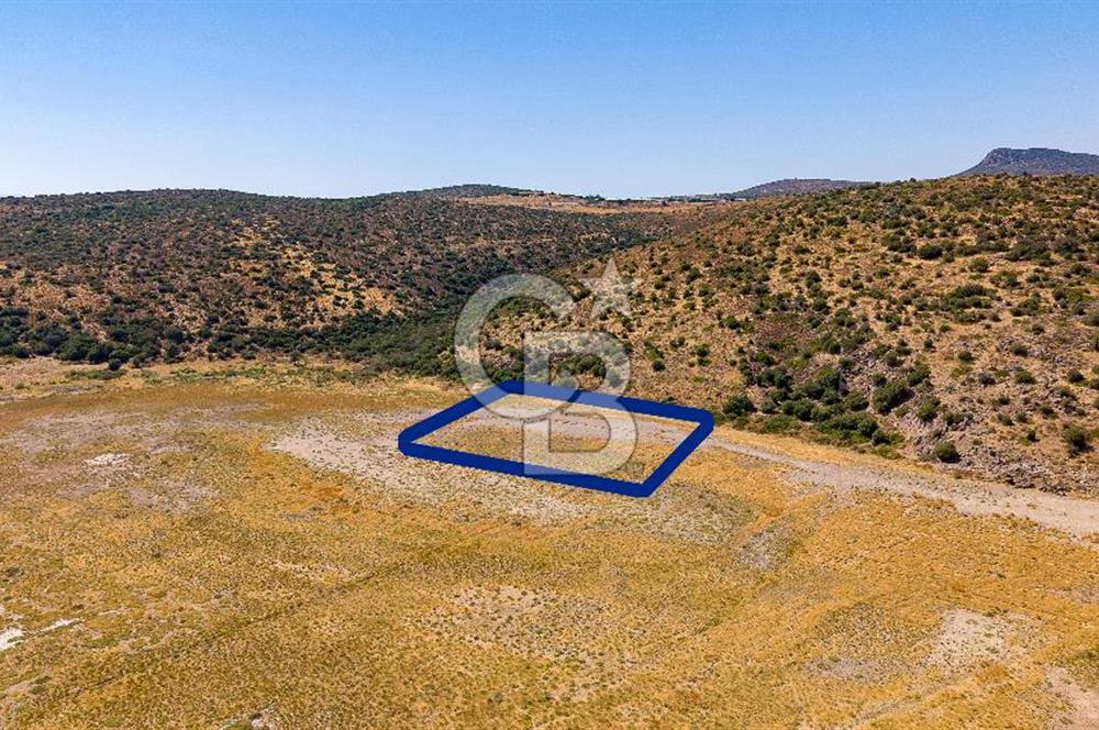 Foça Yenibağarası Mah. Satılık Tarla