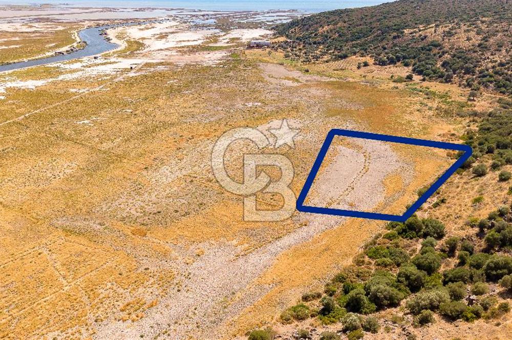 Foça Yenibağarası Mah. Satılık Tarla