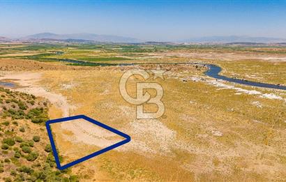 Foça Yenibağarası Mah. Satılık Tarla