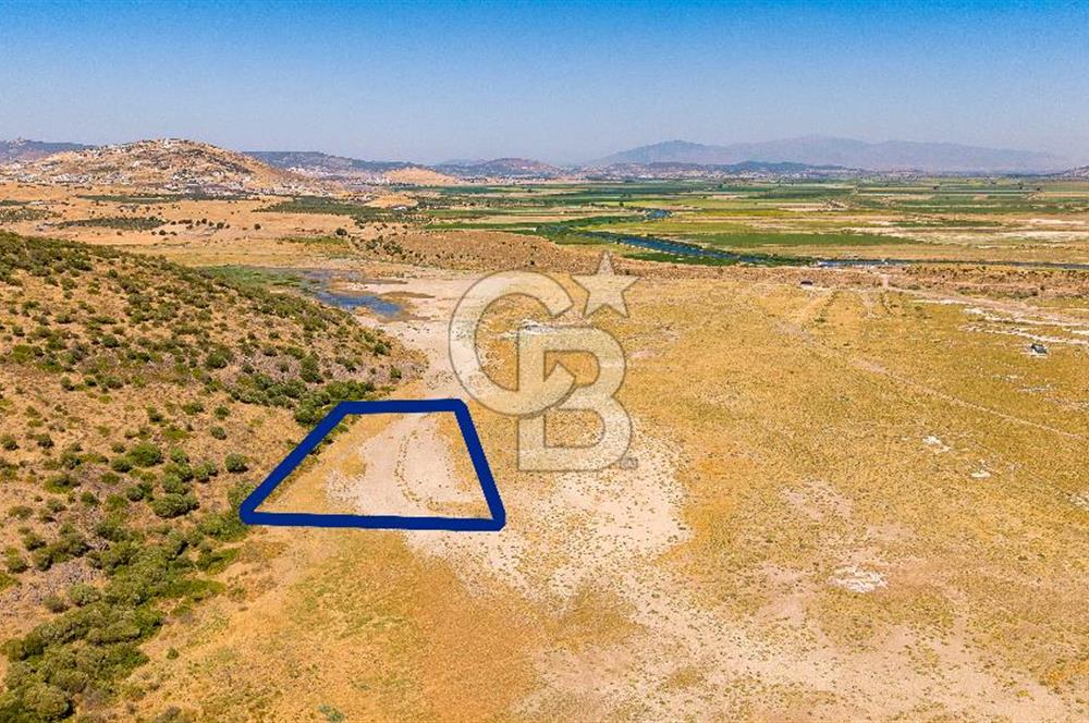 Foça Yenibağarası Mah. Satılık Tarla