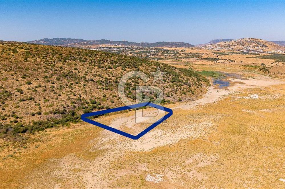 Foça Yenibağarası Mah. Satılık Tarla