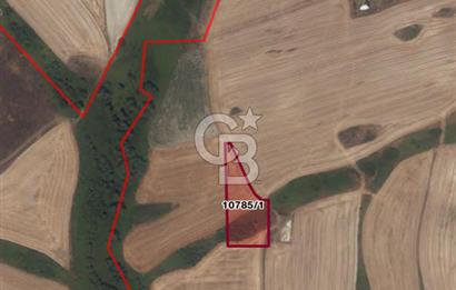 HADIMKÖY'DE 2.978 M² VİLLA İMARLI SATILIK ARSA