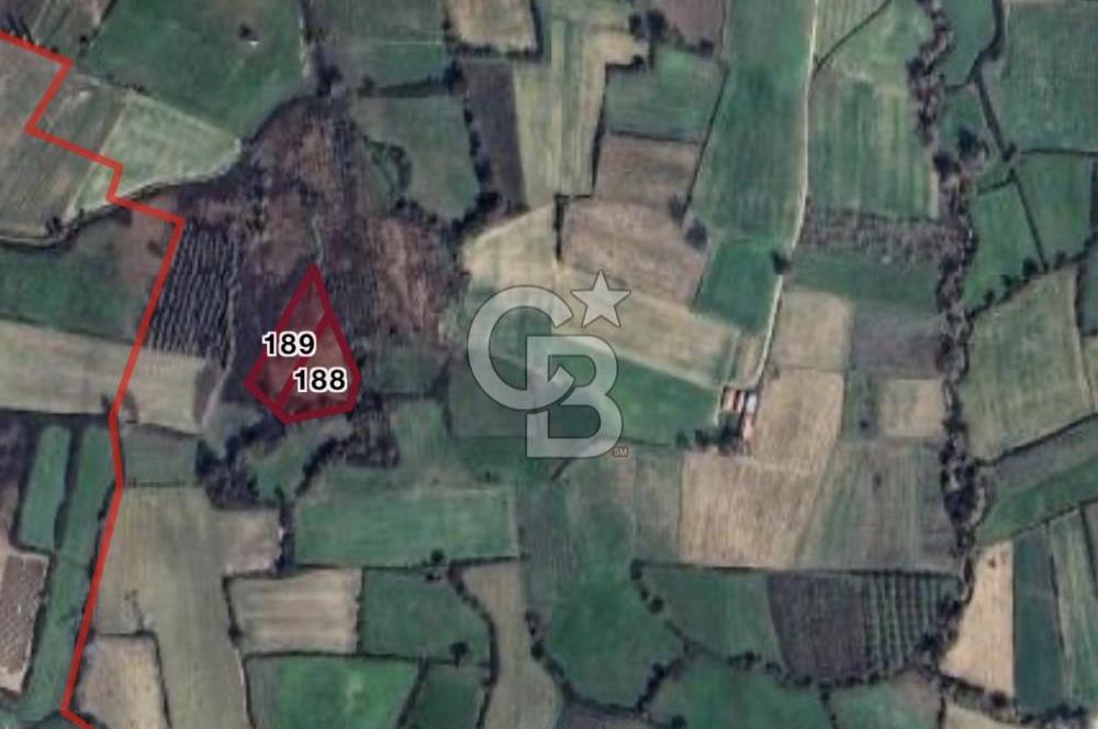 ÇANAKKALE YENICE‘DE 4700 METRE² YATIRIMLIK TARLA