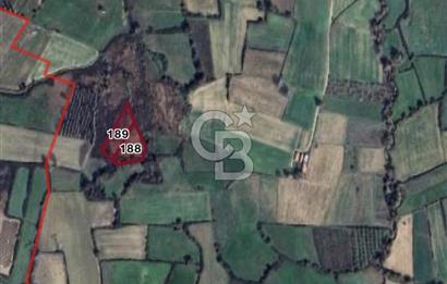 ÇANAKKALE YENICE‘DE 4700 METRE² YATIRIMLIK TARLA